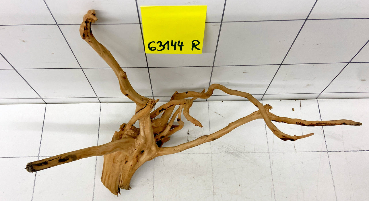 63144R Fingerwood / Rote Moorwurzel Holz