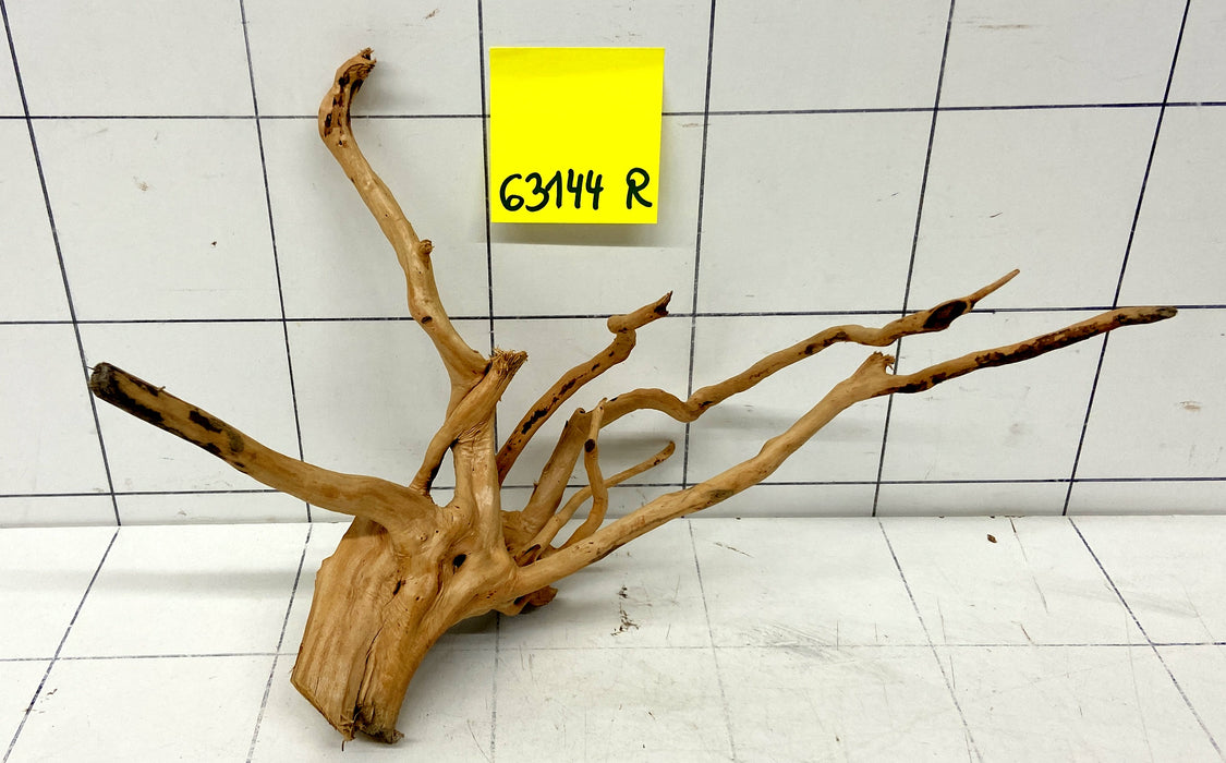 63144R Fingerwood / Rote Moorwurzel Holz