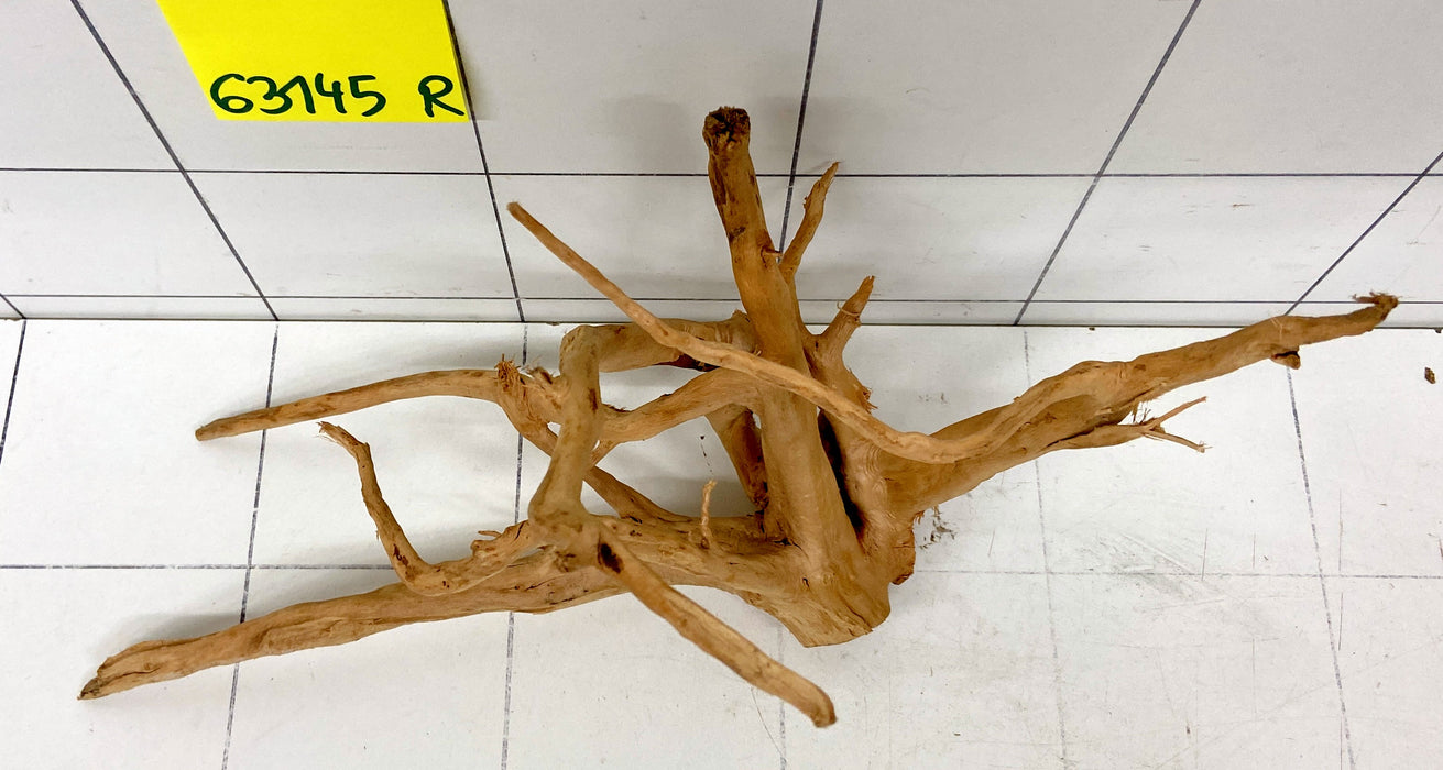 63145R Fingerwood / Rote Moorwurzel Holz