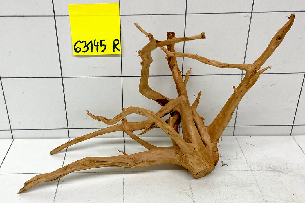 63145R Fingerwood / Rote Moorwurzel Holz