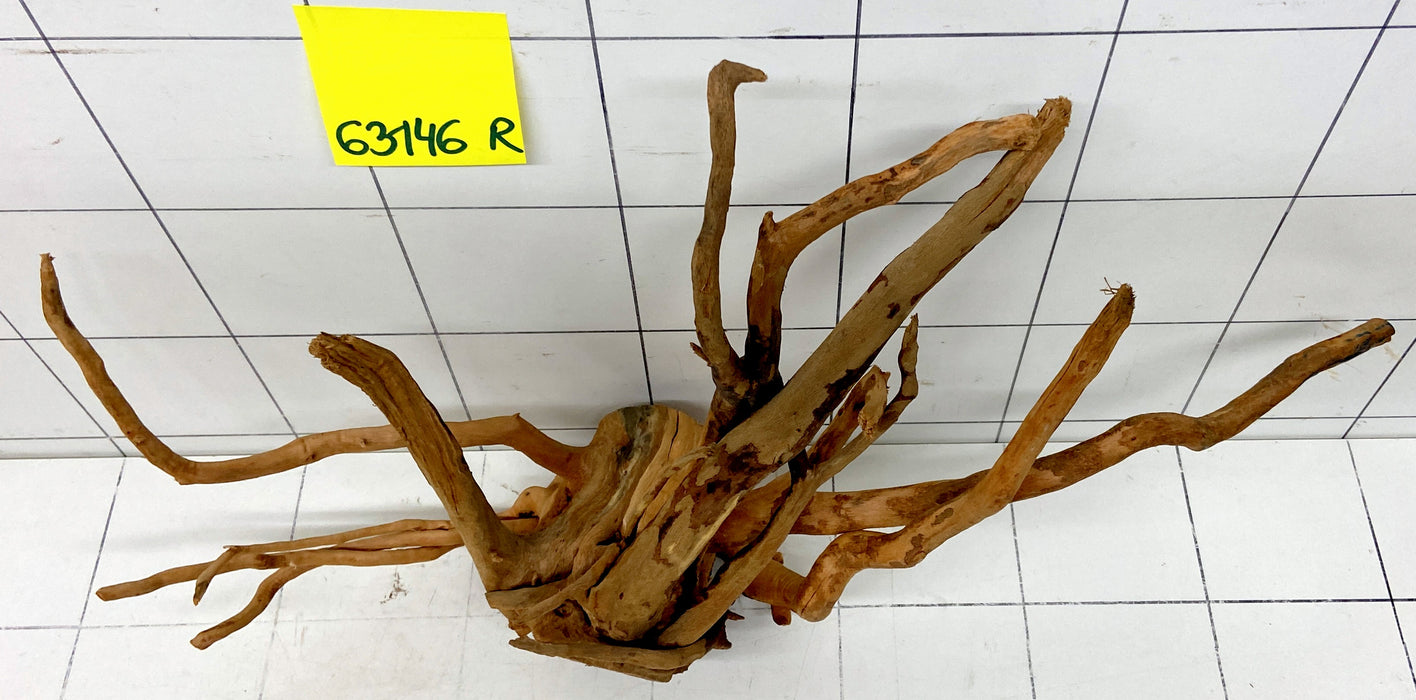 63146R Fingerwood / Rote Moorwurzel Holz