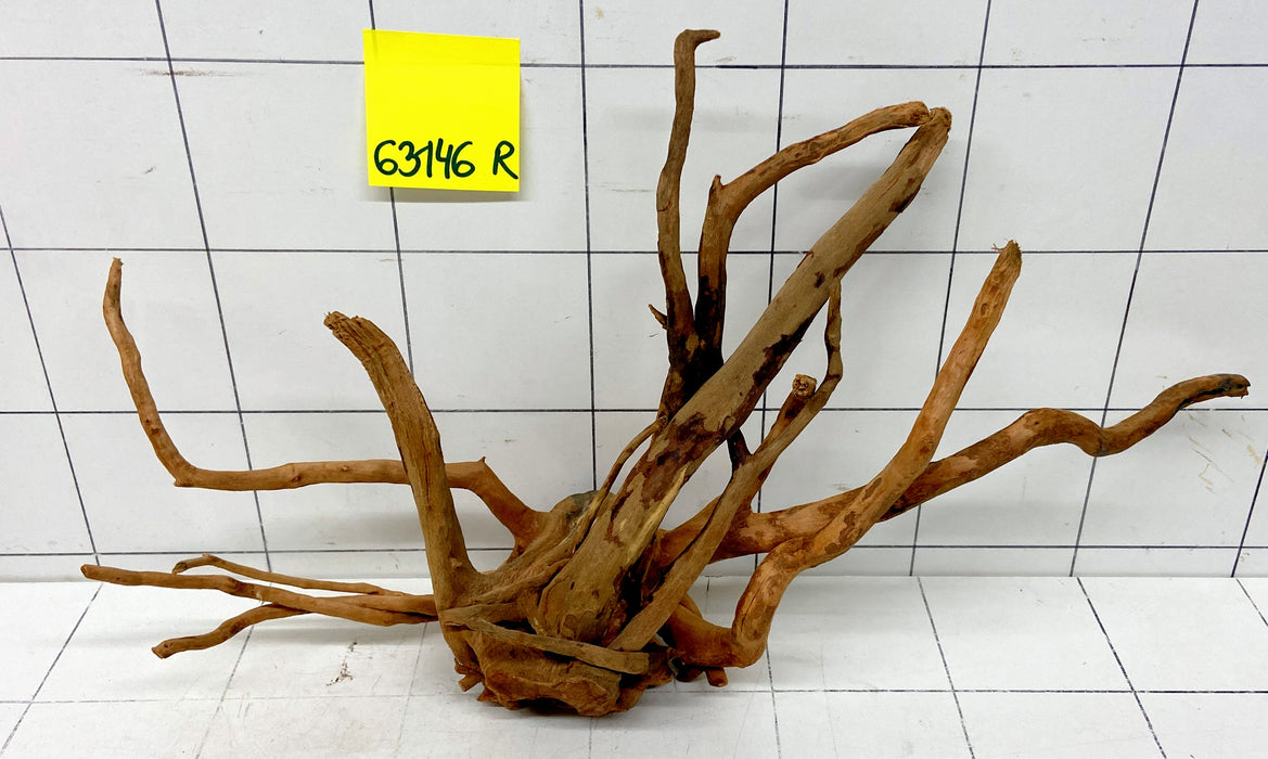 63146R Fingerwood / Rote Moorwurzel Holz