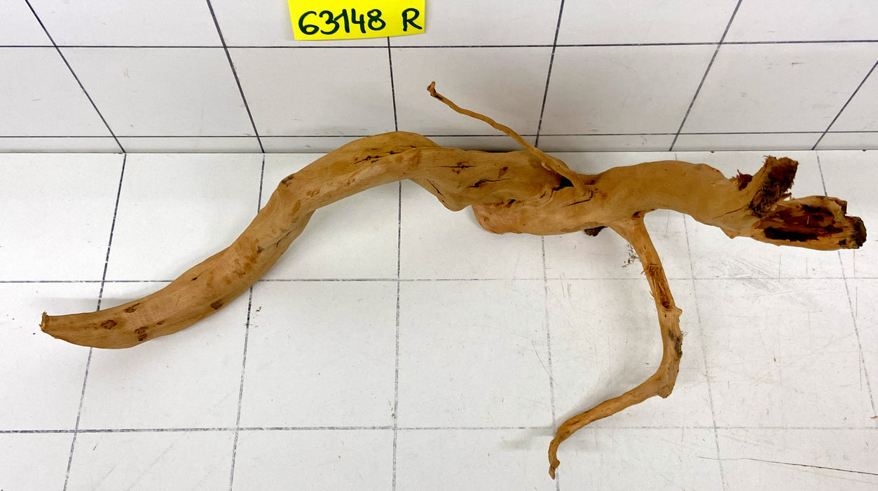 63148R Fingerwood / Rote Moorwurzel Holz