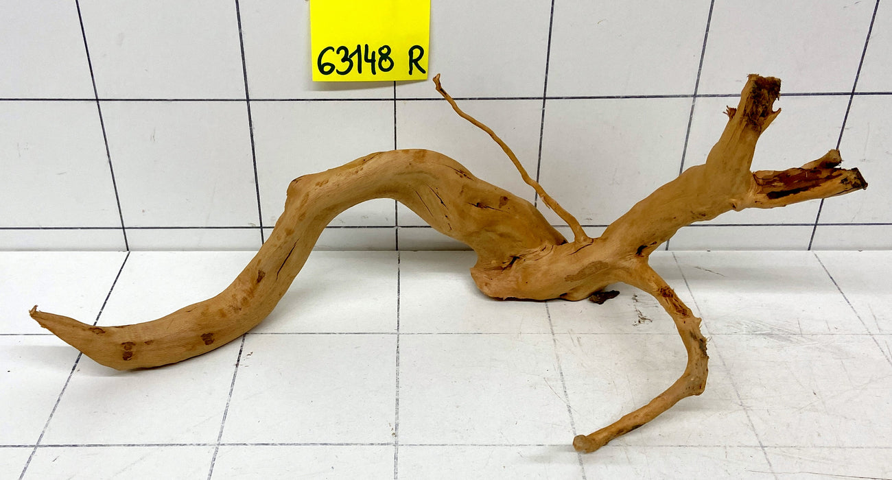 63148R Fingerwood / Rote Moorwurzel Holz
