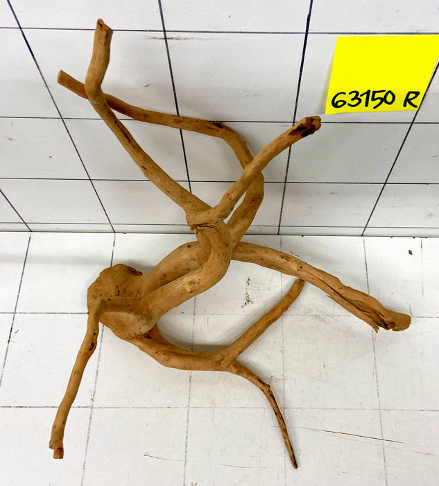 63150R Fingerwood / Rote Moorwurzel Holz