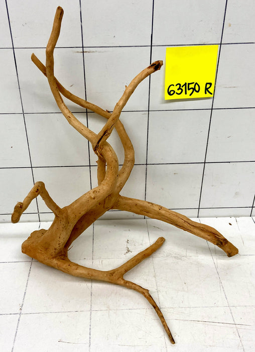 63150R Fingerwood / Rote Moorwurzel Holz