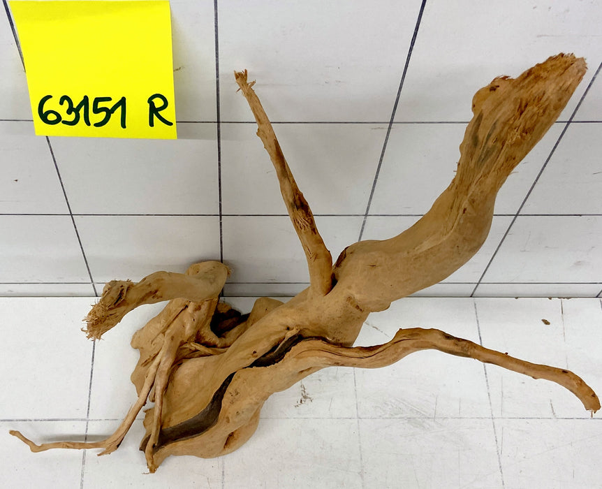 63151R Fingerwood / Rote Moorwurzel Holz