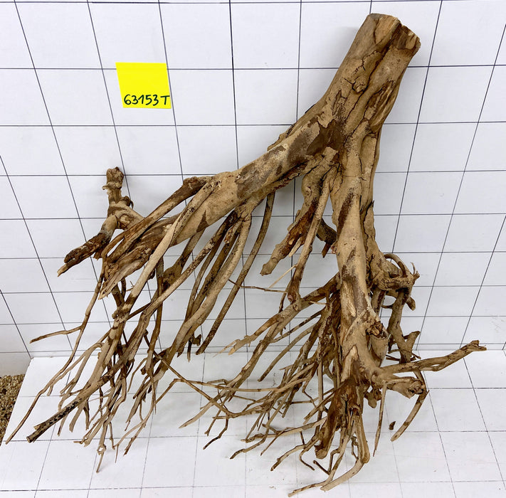 63153T Talawa Wurzel Holz XXL