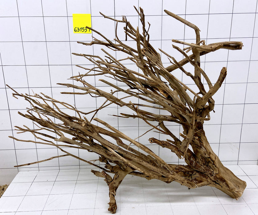 63153T Talawa Wurzel Holz XXL