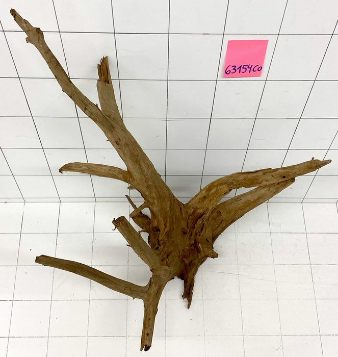 63154CO - Corbo Wurzel Holz XL