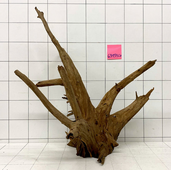 63154CO - Corbo Wurzel Holz XL