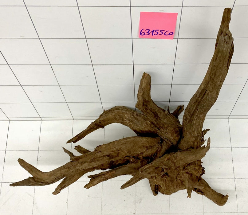 63155CO - Corbo Wurzel Holz XL
