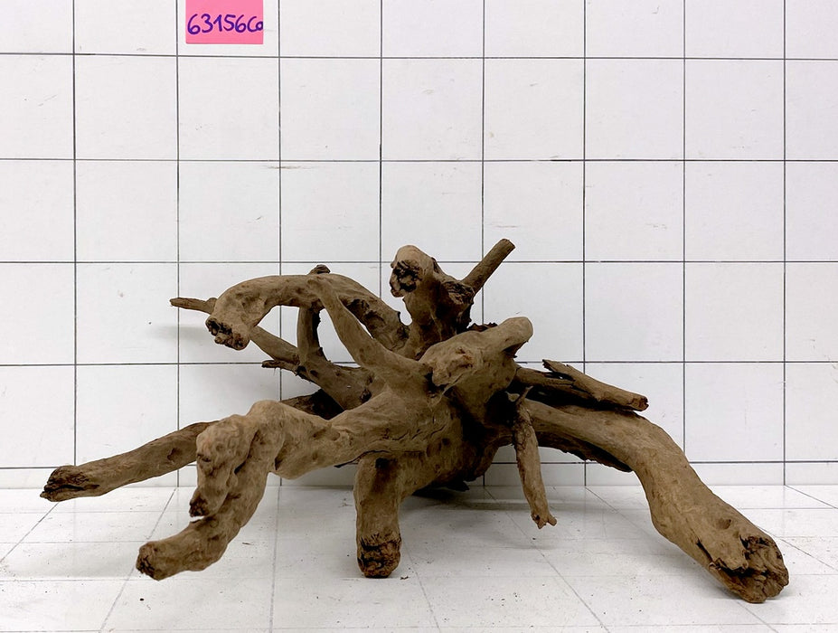 63156CO - Corbo Wurzel Holz XL