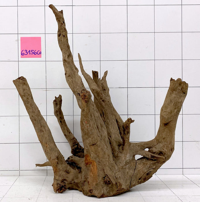 63156CO - Corbo Wurzel Holz XL
