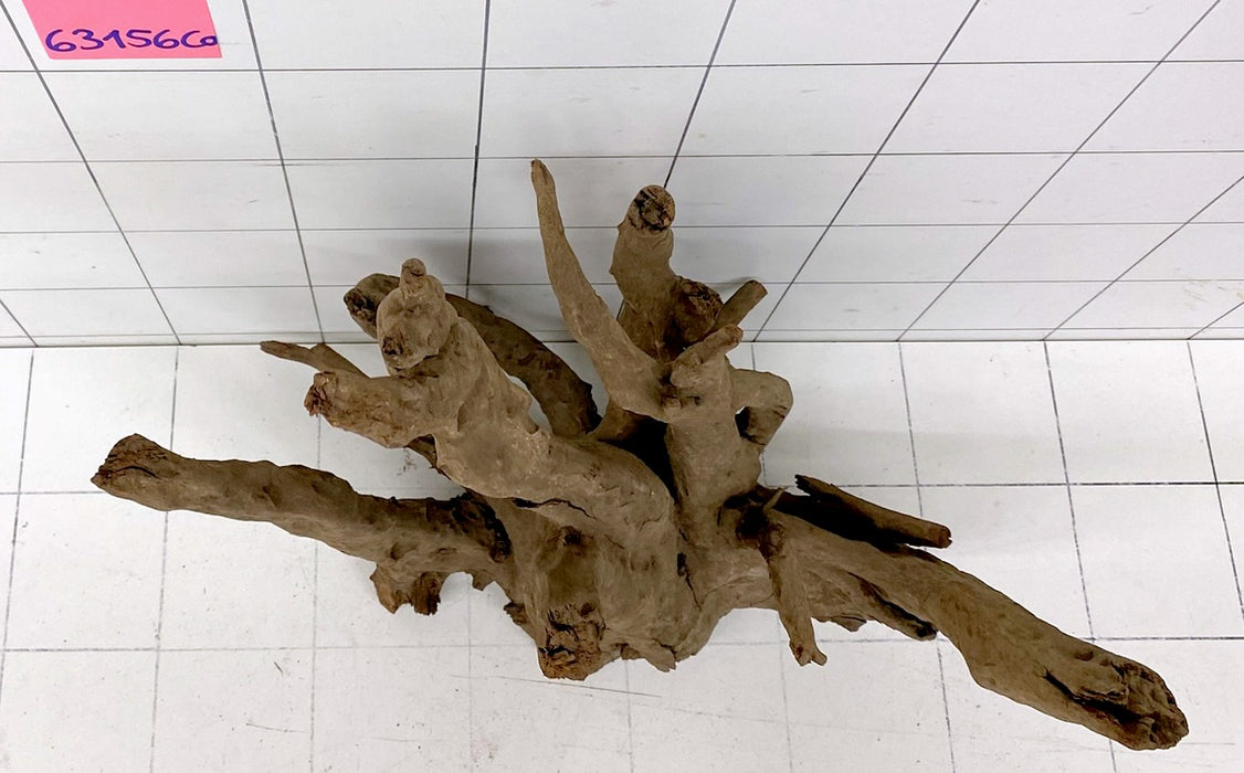 63156CO - Corbo Wurzel Holz XL