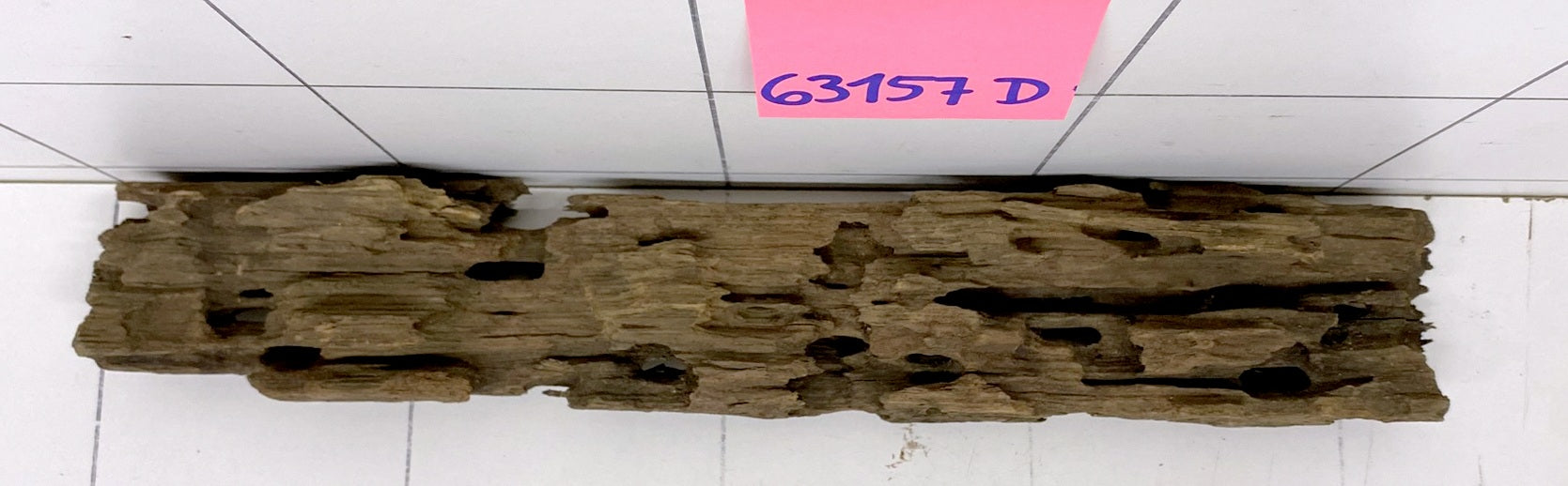 63157D - Drachenholz / Dragonwood