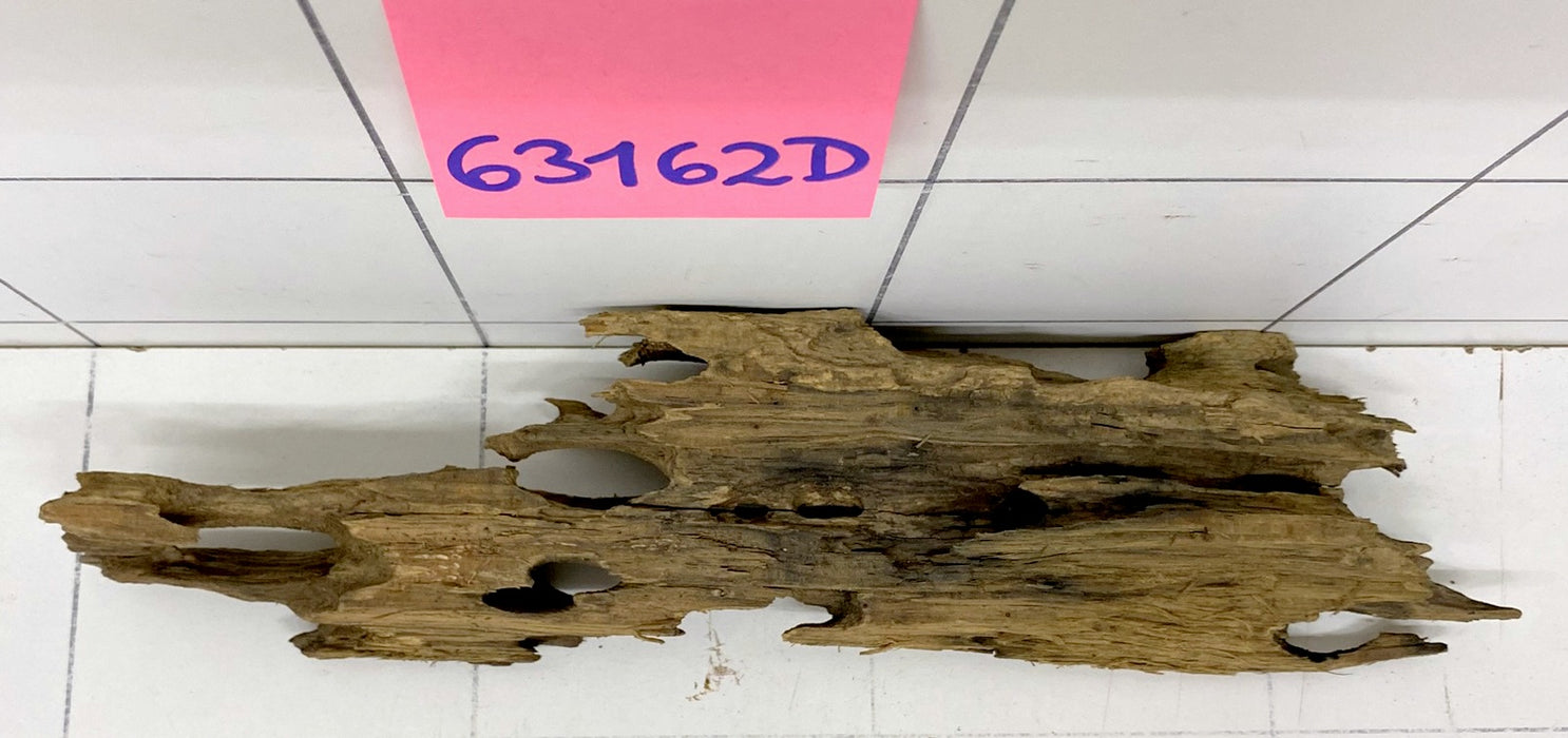 63162D - Drachenholz / Dragonwood
