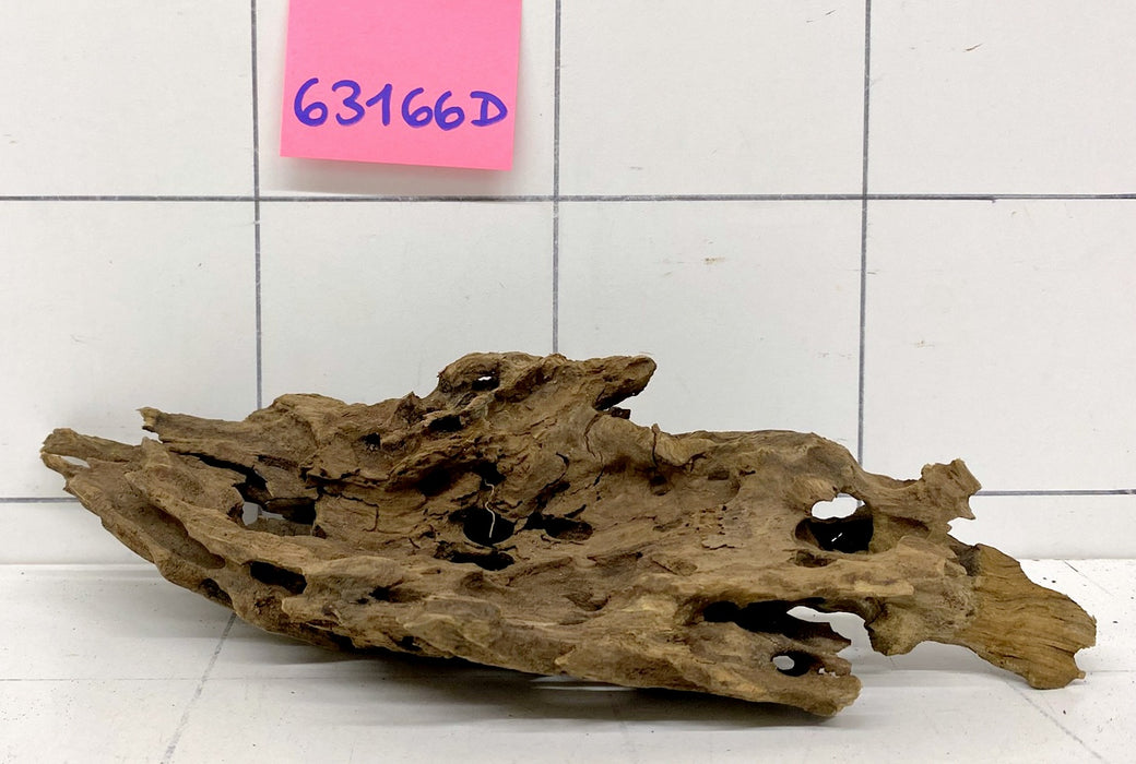 63166D - Drachenholz / Dragonwood