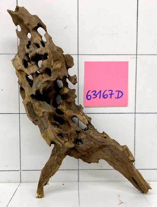 63167D - Drachenholz / Dragonwood