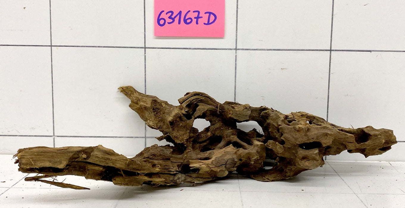 63167D - Drachenholz / Dragonwood