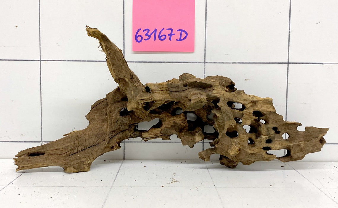 63167D - Drachenholz / Dragonwood