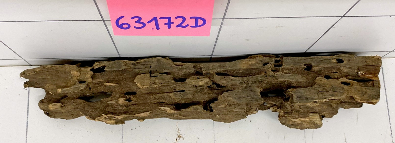 63172D - Drachenholz / Dragonwood