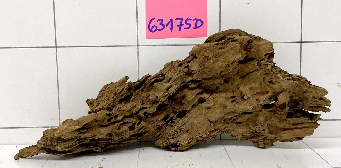 63175D - Drachenholz / Dragonwood