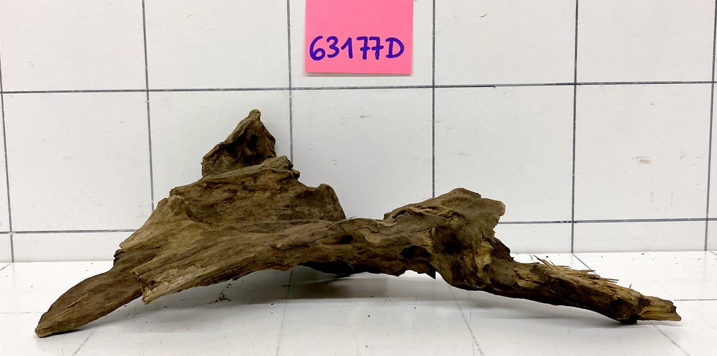 63177D - Drachenholz / Dragonwood