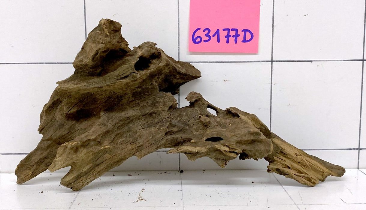63177D - Drachenholz / Dragonwood