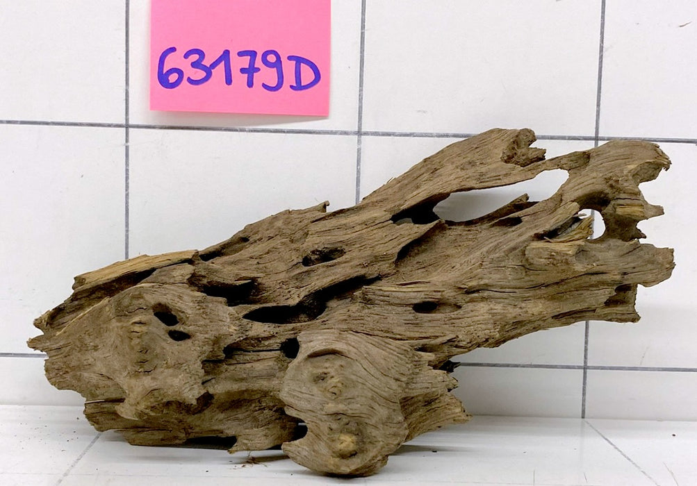 63179D - Drachenholz / Dragonwood