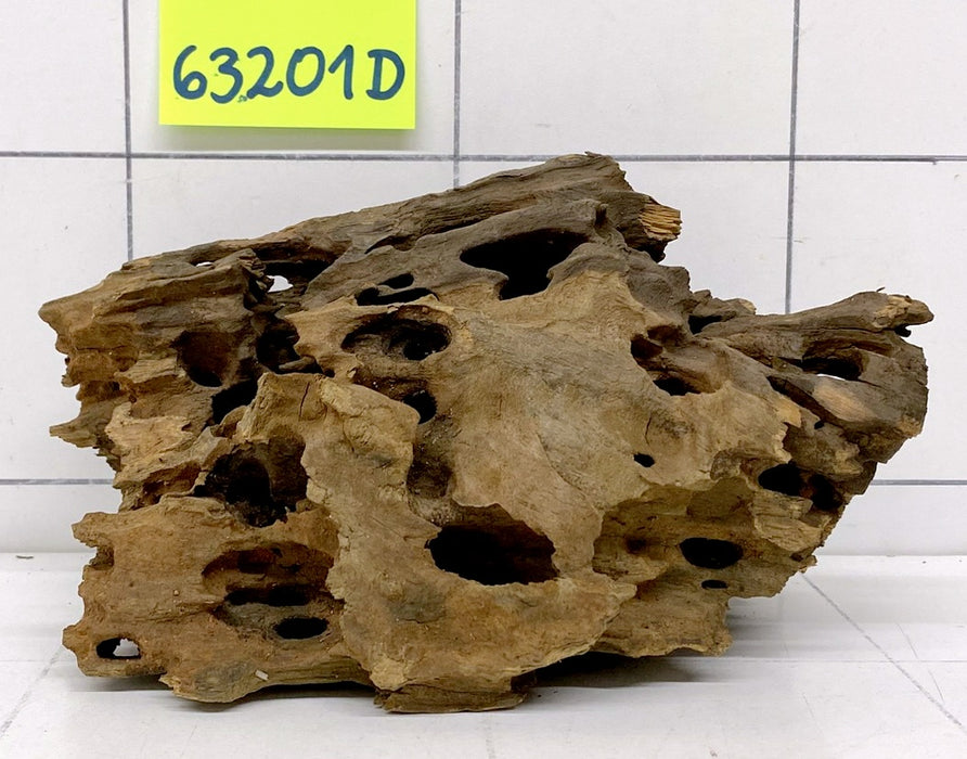 63201D - Drachenholz / Dragonwood