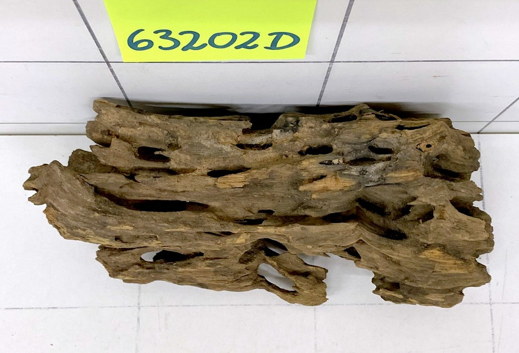 63202D - Drachenholz / Dragonwood