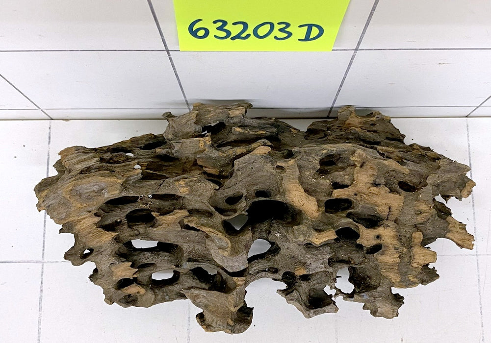 63203D - Drachenholz / Dragonwood