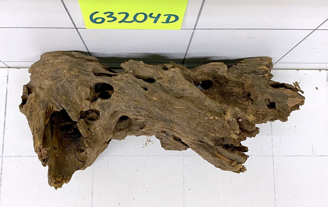 63204D - Drachenholz / Dragonwood