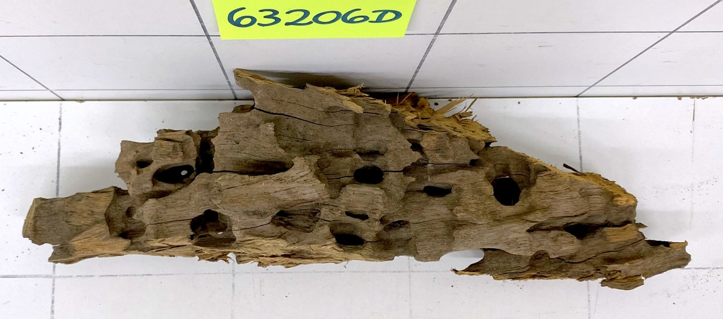 63206D - Drachenholz / Dragonwood