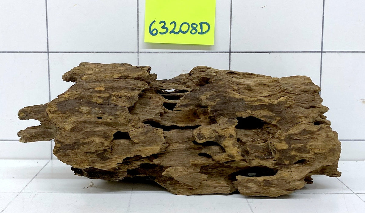 63208D - Drachenholz / Dragonwood