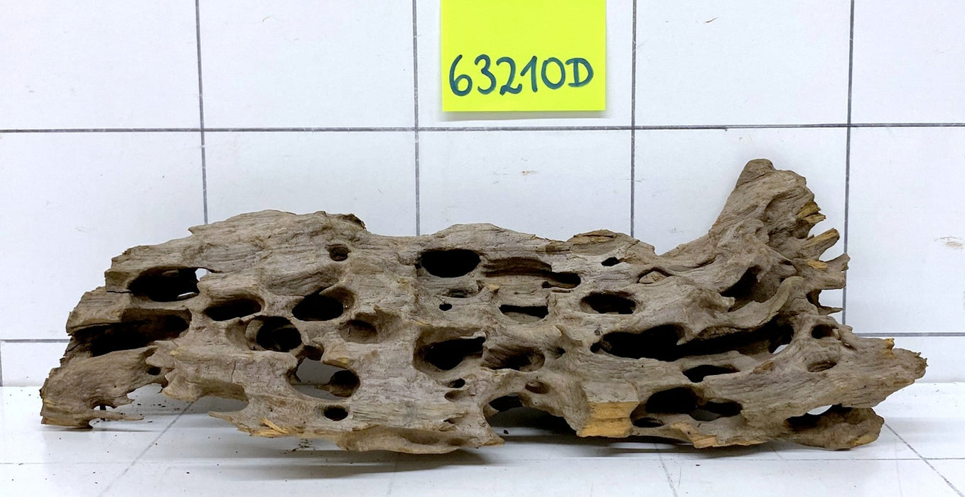 63210D - Drachenholz / Dragonwood