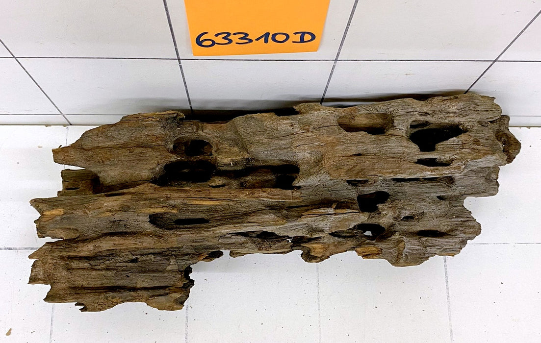 63310D - Drachenholz / Dragonwood