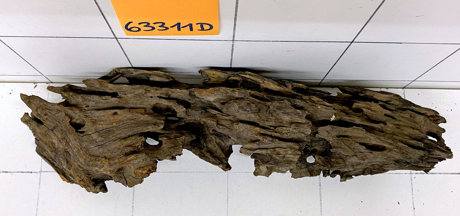 63311D - Drachenholz / Dragonwood