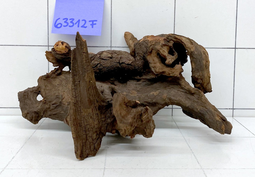 63312F Flussholz / Driftwood / Flusswurzel