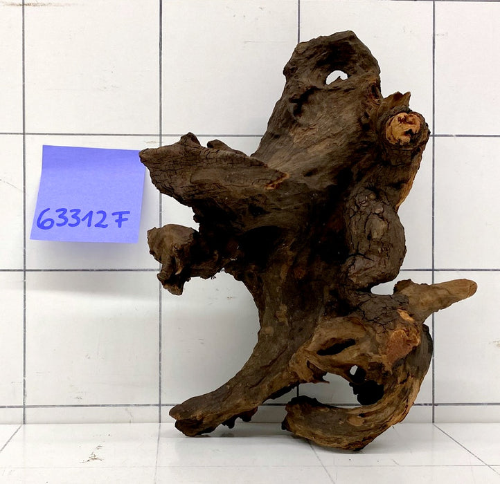 63312F Flussholz / Driftwood / Flusswurzel