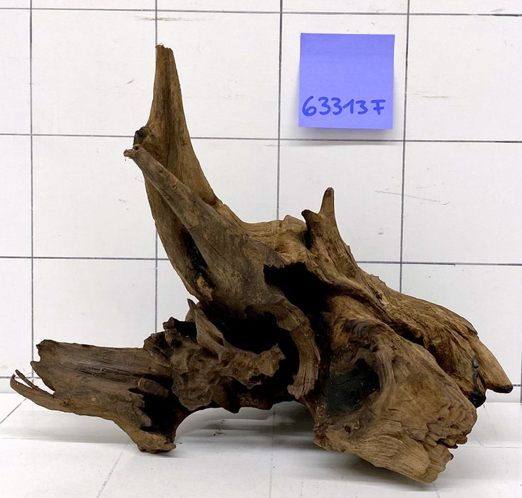 63313F Flussholz / Driftwood / Flusswurzel
