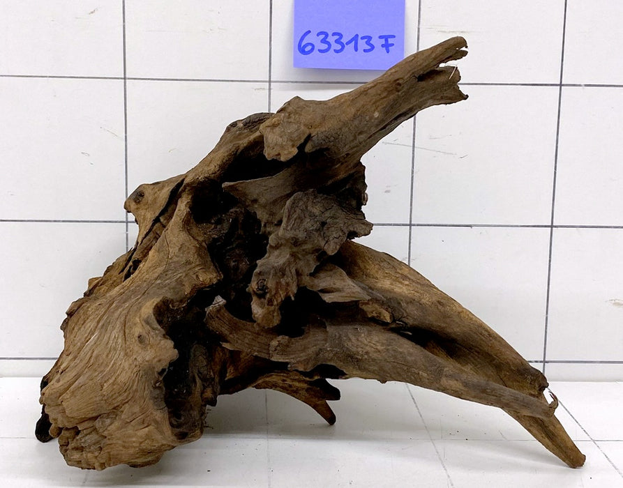 63313F Flussholz / Driftwood / Flusswurzel