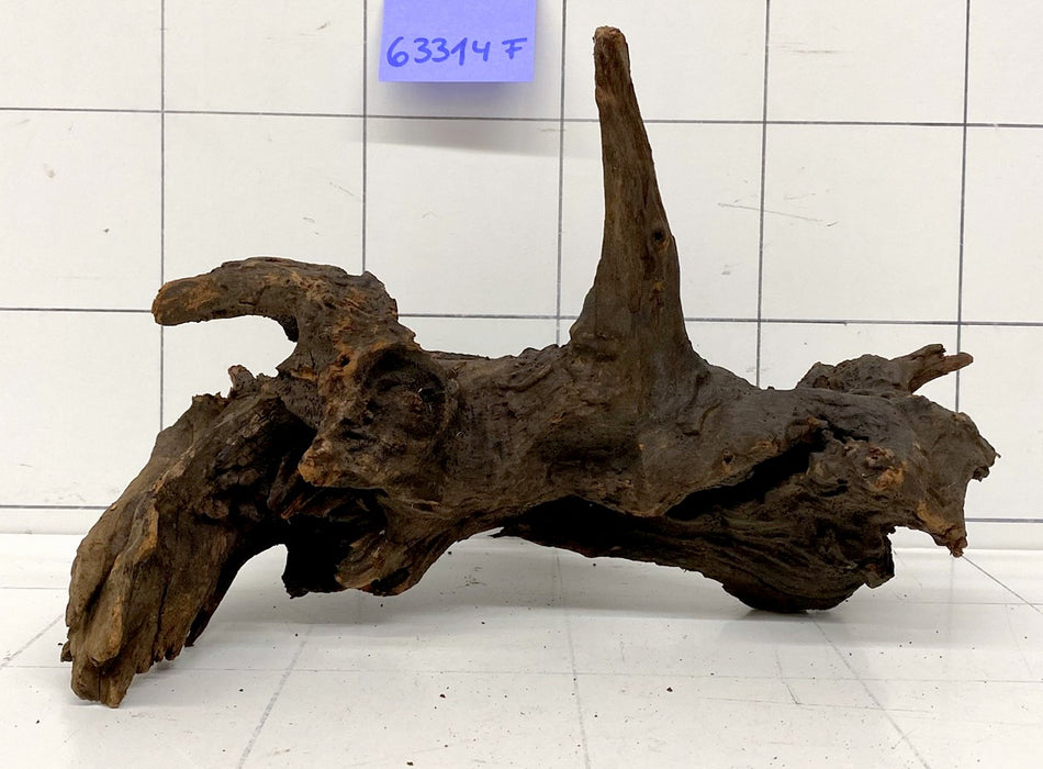 63314F Flussholz / Driftwood / Flusswurzel