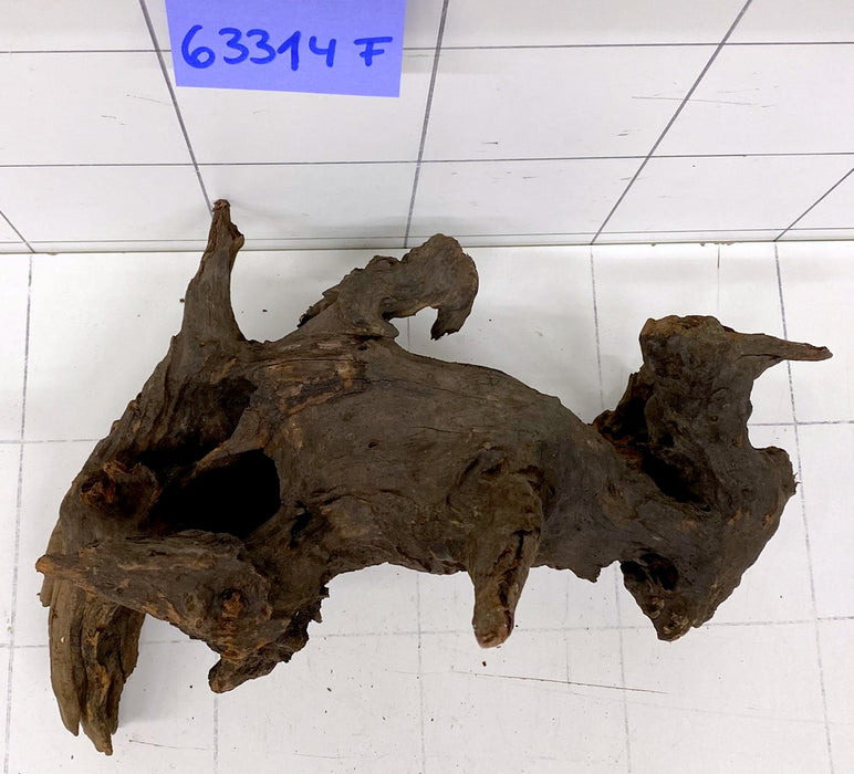 63314F Flussholz / Driftwood / Flusswurzel