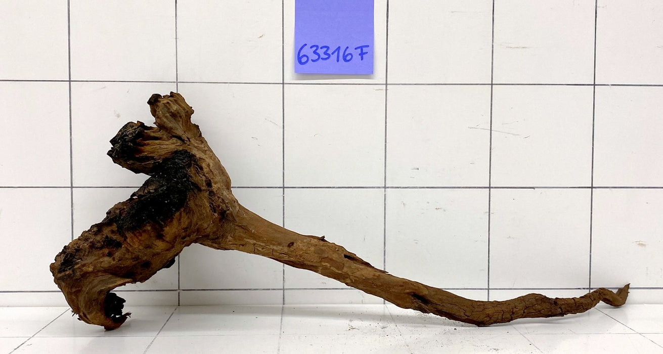 63316F Flussholz / Driftwood / Flusswurzel