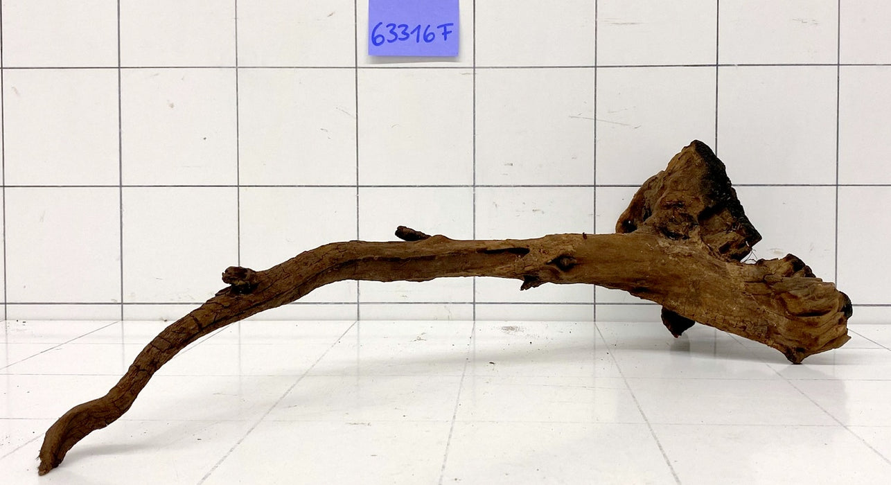 63316F Flussholz / Driftwood / Flusswurzel