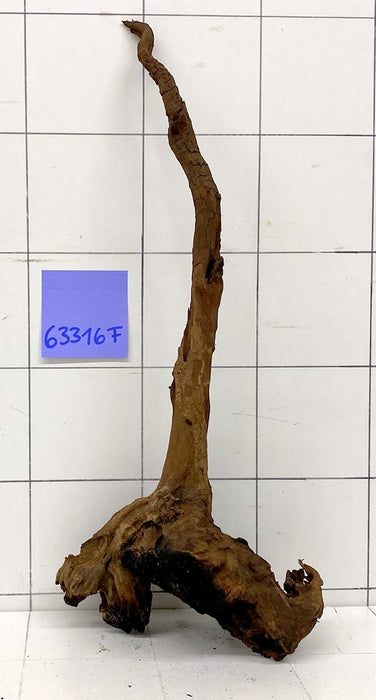 63316F Flussholz / Driftwood / Flusswurzel