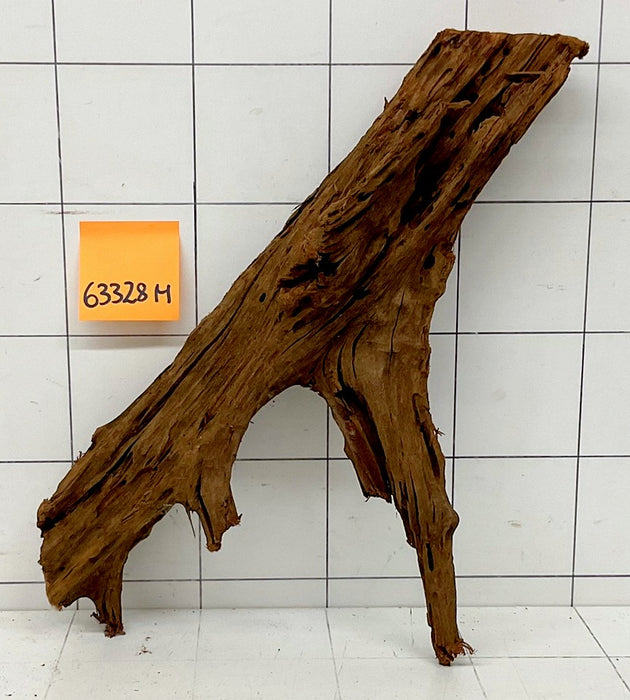 63328M - Mangrovenwurzel Holz