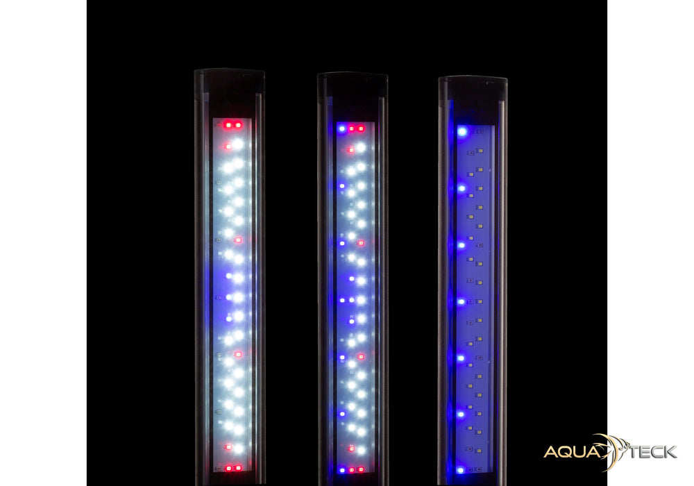 NEU - AQUAEL LEDDY SLIM DUO SUNNY PLANT & NIGHT